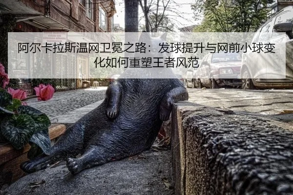 a-er-ka-la-si-wen-wang-wei-mian-zhi-lu-fa-qiu-ti-sheng-yu-wang-qian-xiao-qiu-bian-hua-ru-he-zhong-su-wang-zhe-feng-fan-3-879.jpg