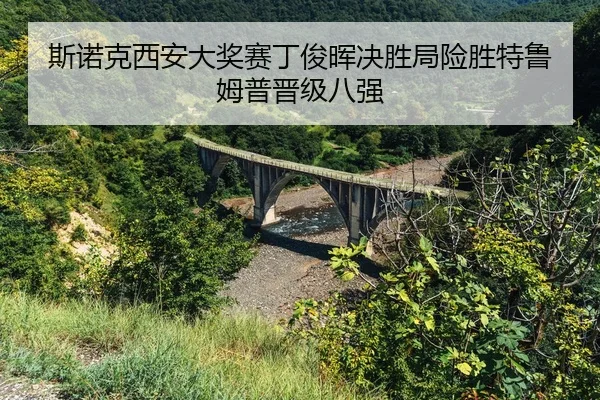 si-nuo-ke-xi-an-da-jiang-sai-ding-jun-hui-jue-sheng-ju-xian-sheng-te-lu-mu-pu-jin-ji-ba-qiang-2-409.jpg