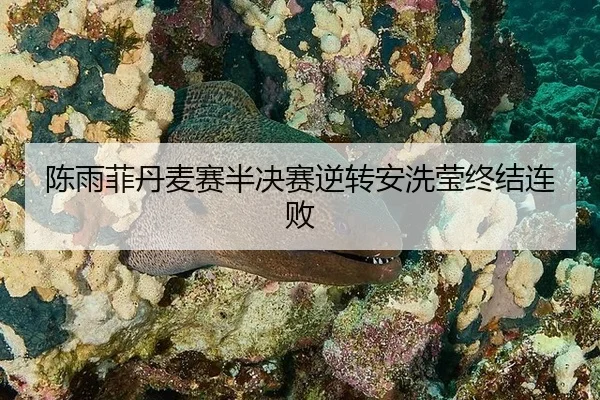 chen-yu-fei-dan-mai-sai-ban-jue-sai-ni-zhuan-an-xi-ying-zhong-jie-lian-bai-2-280.jpg