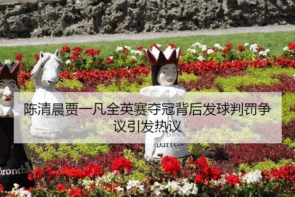 chen-qing-chen-jia-yi-fan-quan-ying-sai-duo-guan-bei-hou-fa-qiu-pan-fa-zheng-yi-yin-fa-re-yi-2-677.jpg